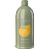Alter Ego Alterego CureEgo Silk Oil Shampoo 950ml Shampoo effetto seta