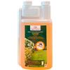 HS Hygiene System Hygiene System | Zapi Tator BIA Plus Insetticida Concentrato da 1 Litro, per ...