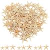 NHPY 50 Pezzi Stelle Marine Decorative, Decorazione Stella Marina, Resina Fla...
