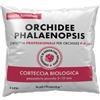 Kalapanta Terriccio per Orchidee Phalaenopsis Bark Professionale, 2 Litri, P...