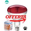 Philips LAMPADA INFRAROSSI 150 W → Riscaldamento Cuccioli Gattini Suini Pulcini