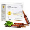 SETA PACK Fiale Ristrutturanti Capelli Donna Mineralizzanti al The Verde R...