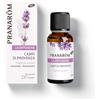 Pranarom Pranarôm - La Diffusione- Diffusione Sinergia - Oli Essenziali Bio per la Diffusione Campi di Provenza - Lavanda e Rosmarino - Rilassante e Purificante - 30 ml