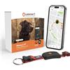 Weenect Dog XT NUOVO Collare GPS per Cani | Antenna XL | Impermeabile | Coll...
