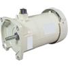 PENTAIR WATER POOL & SPA INC Pentair 350305S MTR PKG 3.2KW FERRITE ALMOND