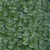 TENAX Divy Laurus PRO 100x300 cm Verde, Siepe Sintetica con Foglie in Polietilen