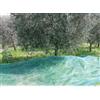 Confine Telo PVC Raccolta Olive Rete Anti-UV Antispina con Occhielli mt 8x12 Confine