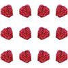 Dxmcgttbd 12 Pezzi pompon da cheerleader,Cheerleading Pom,Fiore a Mano Cheerleader,pom ...