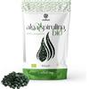 ERBOTECH Spirulina BIO in Compresse, Confezione da 100g, circa 400 Capsule, Alga