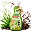Albagarden Diserbante Totale a base di Acido Pelargonico Erbicida 500 ml Spray