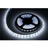Striscia LED Rebel 5 m 5630SMD 12V Bianco freddo