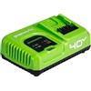 Greenworks Caricabatterie G40UC5 (Li-Ion 40 V, 5A, 30 minuti di tempo di ricarica con 2Ah (50 minuti con 4Ah) adatto a tutte le batterie della serie Greenworks Tools da 40V), Green, grey, black