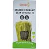 Slendier Spaghetti Biologici Di Edamame
