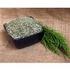 Naturix24 Taglio equiseto 500 g