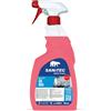 SANITEC igiene sicura Sanitec Sgrassacciaio Detergente Specifico Spray 750 ml Single