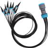 Kit Gocciolatore Per Irrigazione Domestici Impianto Goccia Strumento