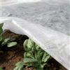 TENAX Ortoclima Plus 1,60x500 m Bianco, Velo Protettivo Antigelo Invernale per P