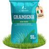 LERAVA Semi Gramigna per Prato (900 g) - Copertura 90 m² - Semi gramignone resis