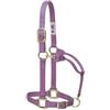 Weaver Equine Weaver Leather Original Adjustable 3/10,2 cm Suckling Chin And Throat Snap Halter, 35-7036-LV, Lavender, 1 Large Horse