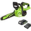 Greenworks 24V 25cm Motosega Elettrica a Batteria con Batteria da 2 Ah e Caricabatteria, Velocità Catena 4,3 m/s, Lubrificazione Automatica, Kit Motosega con Protezione Anti-Contraccolpo