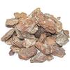 clorophilla. Clorophilla bark per orchidee - corteccia naturale per orchidea, ideale per rinv