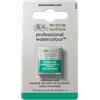 Winsor & Newton W&N Professional Watercolor 1/2 Godet - Acquerello extrafine per artisti, colori vivaci di altissima qualità, luminosità e brillantezza, resistenti alla luce - Verde Veronese Imitazione