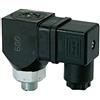 RIEGLER 103017-DS 6001 - Interruttore a pressione, con conteggio intercambiabile, in acciaio ver, G 1/8, 0,3-2 bar, 1 pezzo