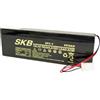 ISNATCH Batteria al piombo skb 6v 4ah sk6-4 con connettore tipo beghelli