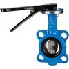 RIEGLER 103683-350.6065B - Valvola di arresto per flangia, DN 65, 1 pezzo