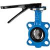 RIEGLER 103684-350.6080B - Valvola di arresto per flangia, DN 80, 1 pezzo