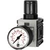 RIEGLER 142398-FUM 7010 - Regolatore di pressione FUTURA-mini, Standardmano, BG 0, G 1/4, 0,5-10 bar, 1 pezzo