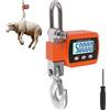 Bilancia Gancio Sospesa Digitale 500 KG, Bilancia Elettronica per Gru in Allumin