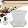 not specified per piante per fiori traspirante supporto per alghe-kit orchidee