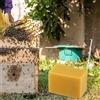 Beekeeping Tool Fondotinta Alveare Forniture Alveari per cera d'Api Arrotolate a Mano Candele