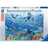 Ravensburger Puzzle 3000 Pezzi Variopinto Mondo Subacqueo Puzzle Adu QW3b