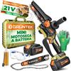 GRÜNTEK Mini Motosega a Batteria 21V Brushless - Kit Motosega Elettrica con 2 Ba