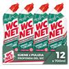 Wc Net DISINCROSTANTE DISINFETTANTE GEL PER SANITARI E SUPERFICI PULITORE LIQUIDO 500ML