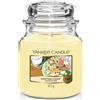 Yankee Candle Candela profumata in giara media | Biscotto di Natale | Durata Fin