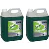 Diversey 2 Svelto Piatti Limone 5 Litri Detersivo Professionale Tanica Concentrato HACCP