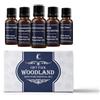 Mystic Moments | Kit Regalo Iniziale di Oli Essenziali Woodland | 5 x 10ml Oli 100% Puri per Aromaterapia | Betulla Dolce, Cedro Himalayano, Patchouli, Pino Sylvestris, Tea Tree