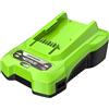 Greenworks Caricabatteria rapido G40C (Li-Ion 40V tempo di carica 60 min con 2Ah adatto per tutte le batterie della serie Greenworks 40V)