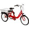Cicli Puzone BICI A TRE RUOTE MISURA 20 BICICLETTA UNISEX TR20 CON CAMBIO 6V TELAIO IN ALLUMI