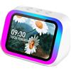 DECATRONIC G-TF26 Smart Speaker Display 4" - Altoparlante Bluetooth con Assistente Vocale