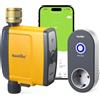 RAINPOINT Centralina Irrigazione WiFi 2.4GHz, Ingresso in Ottone, Computer Irrig