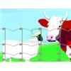 UTENSILERIA 1PZ RETE PER RECINZIONI GALVAFIELD 120 9 15 MT.50 H CM.120 (F. 1,70 2,00):