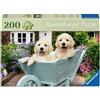 Ravensburger 12001368 Golden Retriever Anziani, con 200 Pezzi Extra Grip, Grande