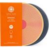 SPINCARE Dynamic 100x Buste Interne Antistatiche 33 Giri per Vinili | Per LP Sin
