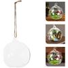 2 Pcs Terrario Globo Sospeso Fioriera Sospesa in Piccolo Di