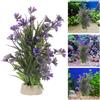 Piante Di Decorazioni Per Acquari Vegetazione Del Serbatoio Pesce