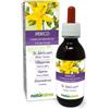 Naturalma Iperico o erba di San Giovanni (Hypericum perforatum) erba con fiori Tintura Mad
